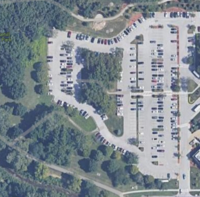 dog bite in op sept10.png