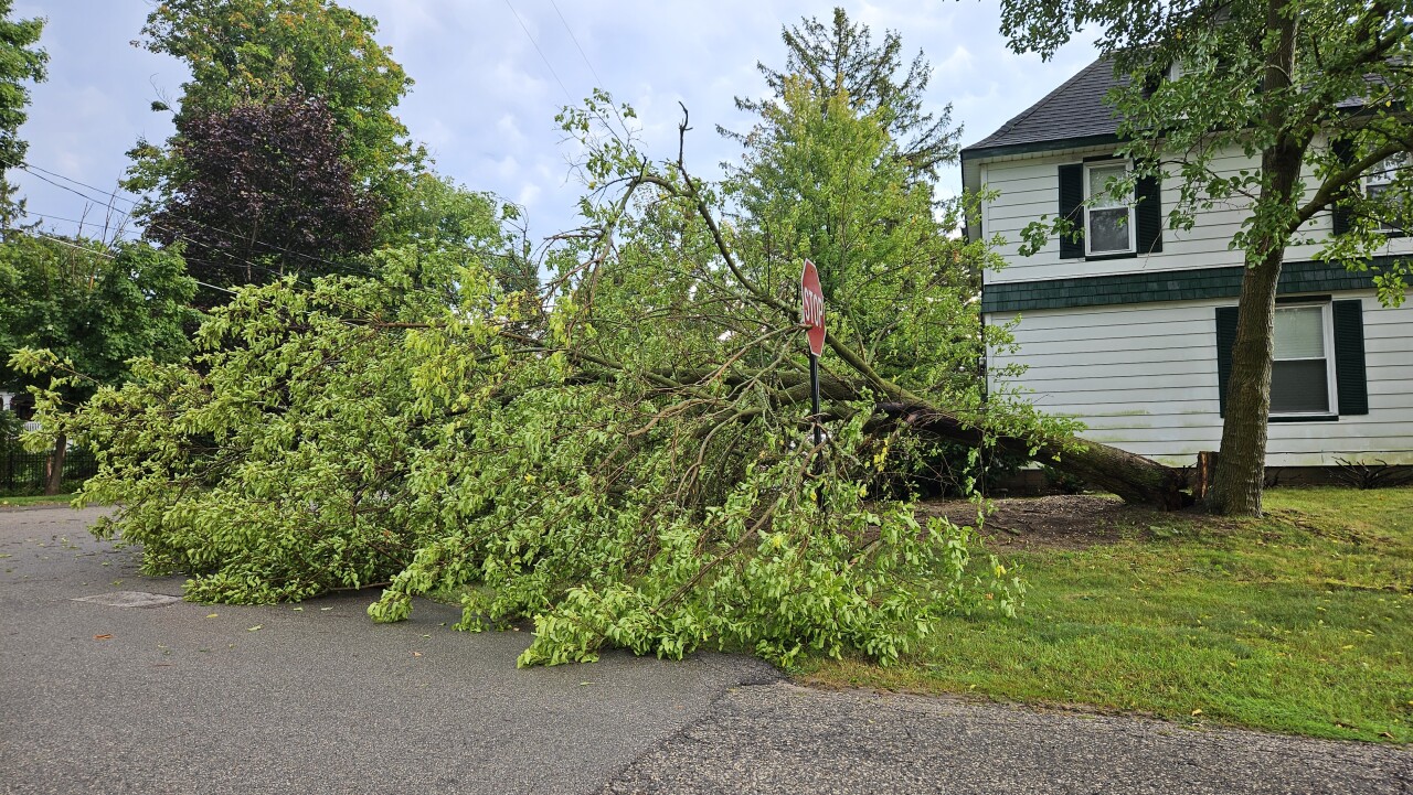 Cedar Springs 1 Peter Venlet.jpg