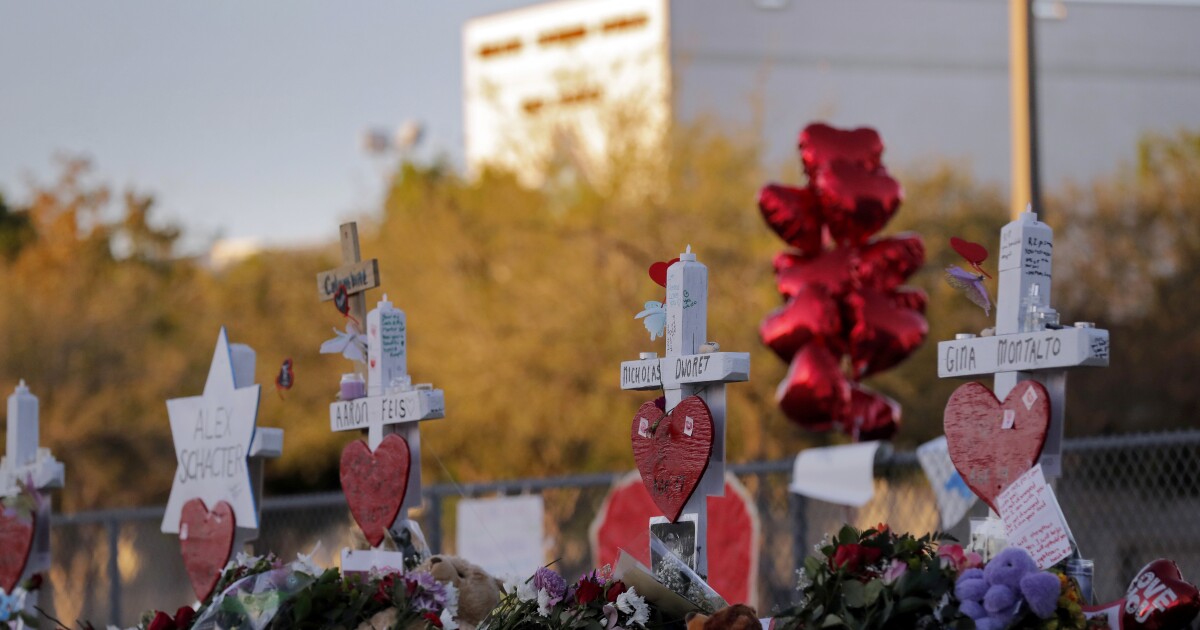 Mother and father of Parkland victims mark anniversary, proceed struggle for varsity security