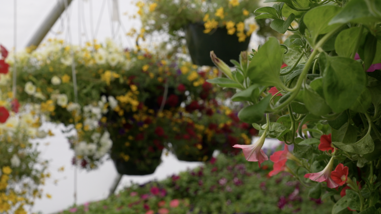 Greenhouse at Jackson Area Career Center