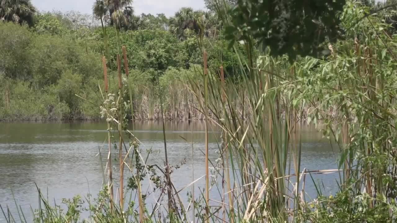 Sinkhole Bottomless Lake Lehigh Acres