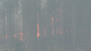 FIRE SNOW.jpg