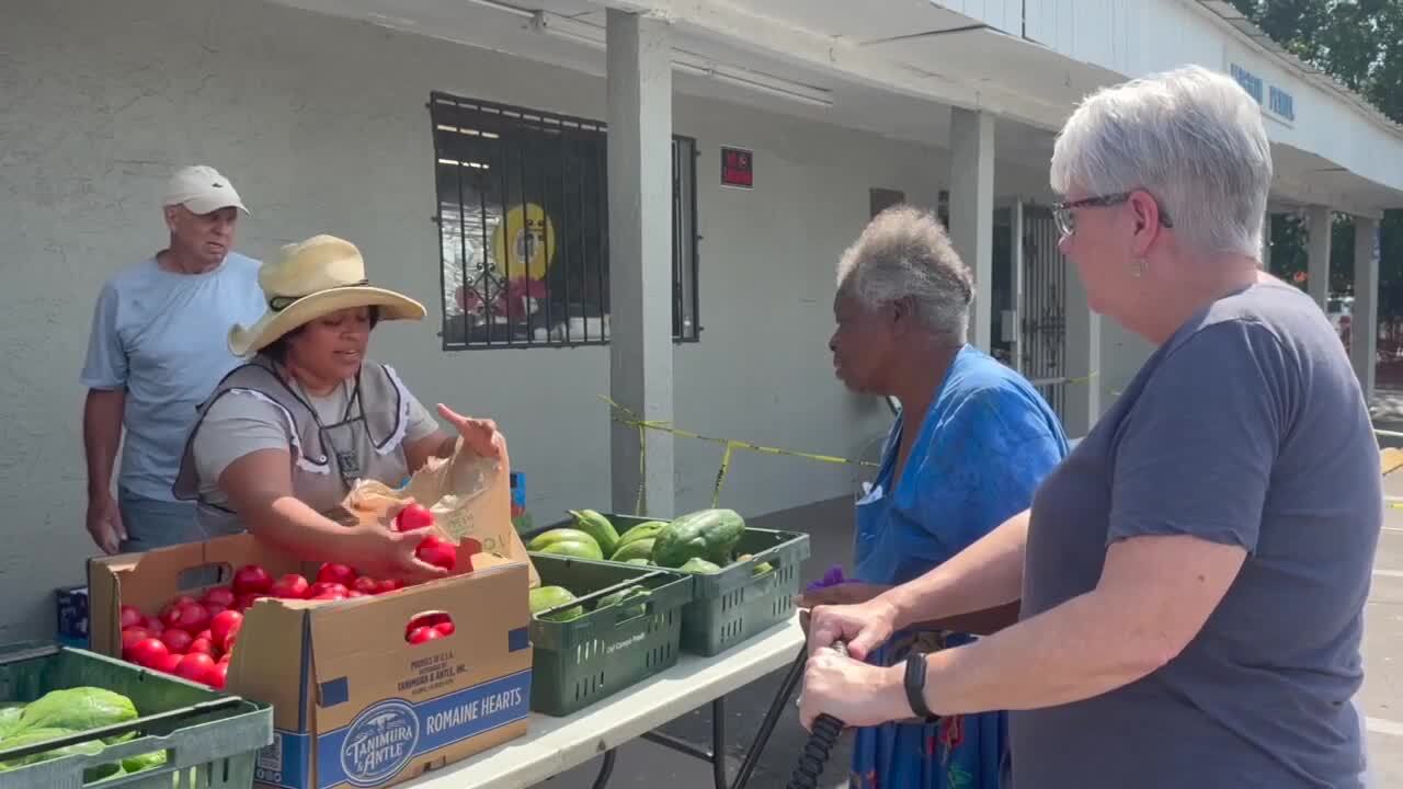 Cultivate Abundance Immokalee food desert