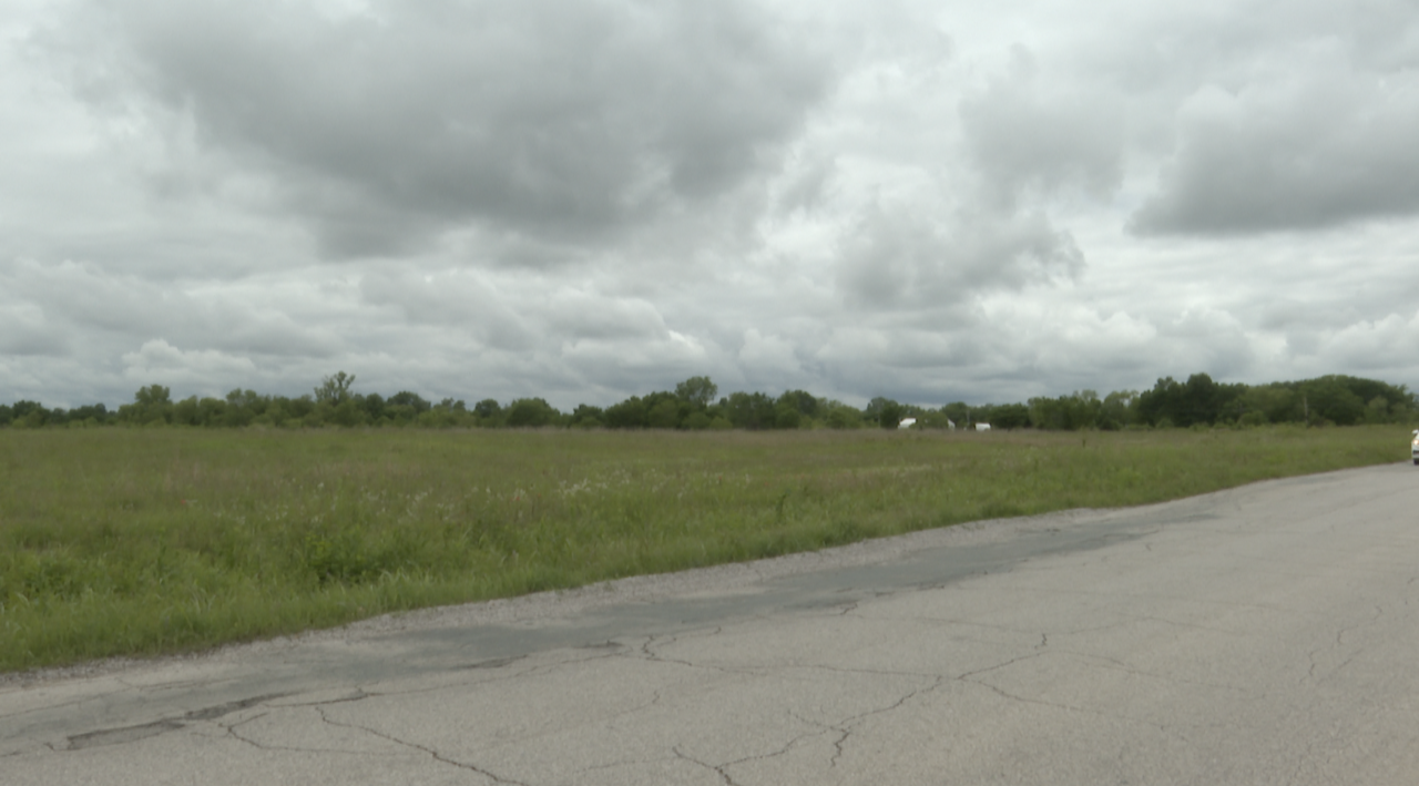 area business devlopment