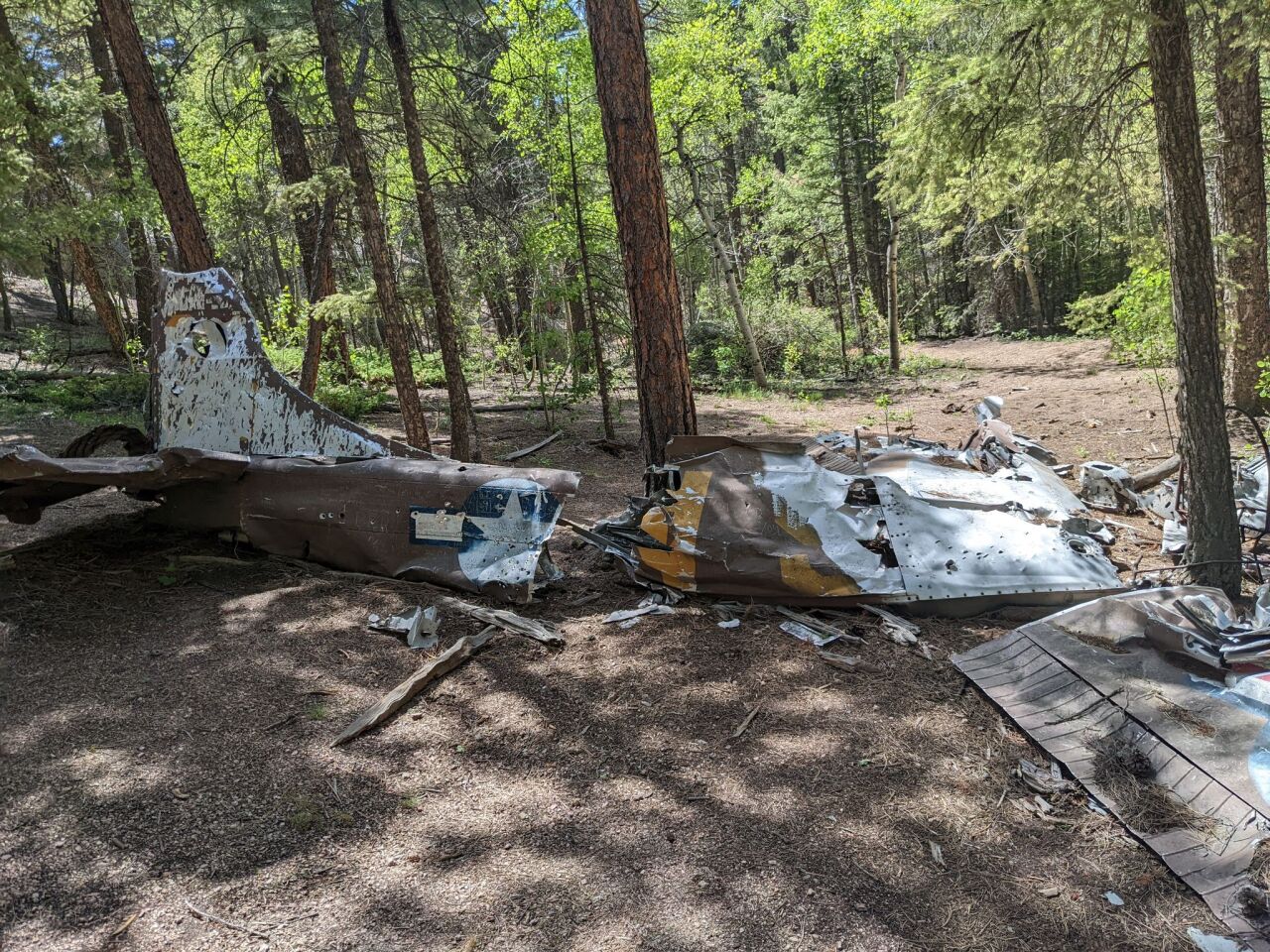 Joe Darpino_Harrison crash 3.jpeg