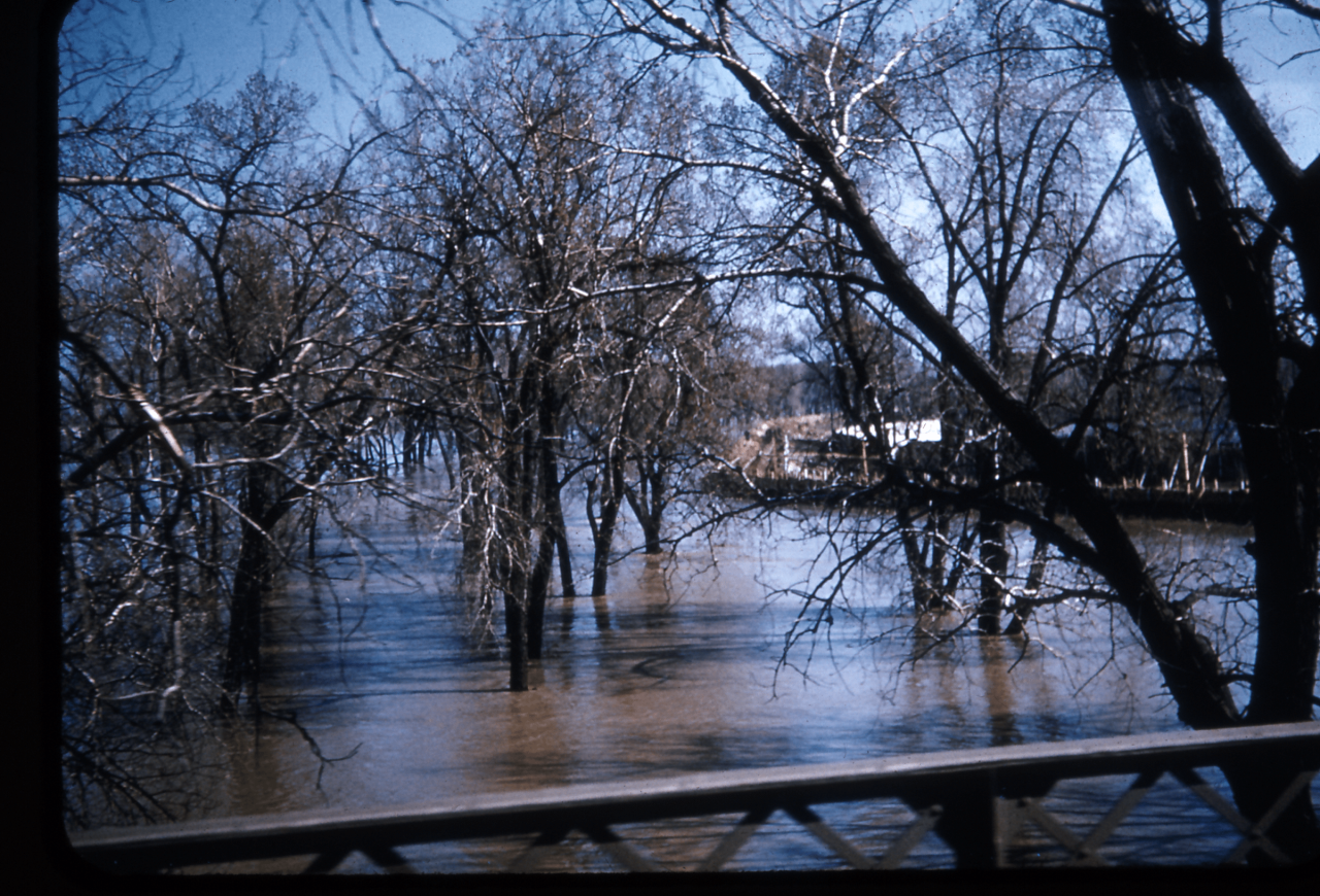 1952 river side of levee Plylnd.png