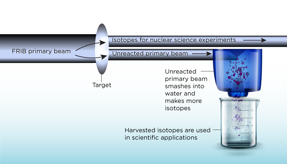 IsotopesBeamLine.png