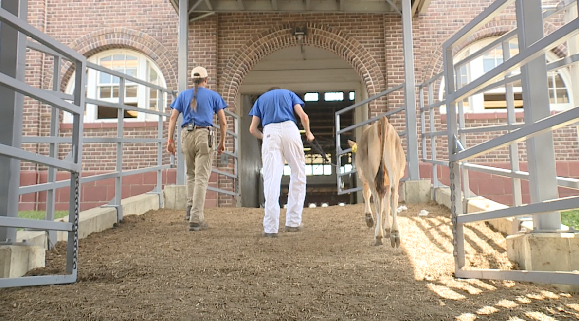 Screenshot 2024-09-11 at 2.22.33 PM.png