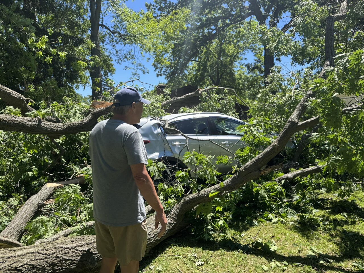 Gary's car struck by a tree