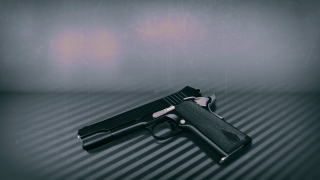 firearm graphic AP