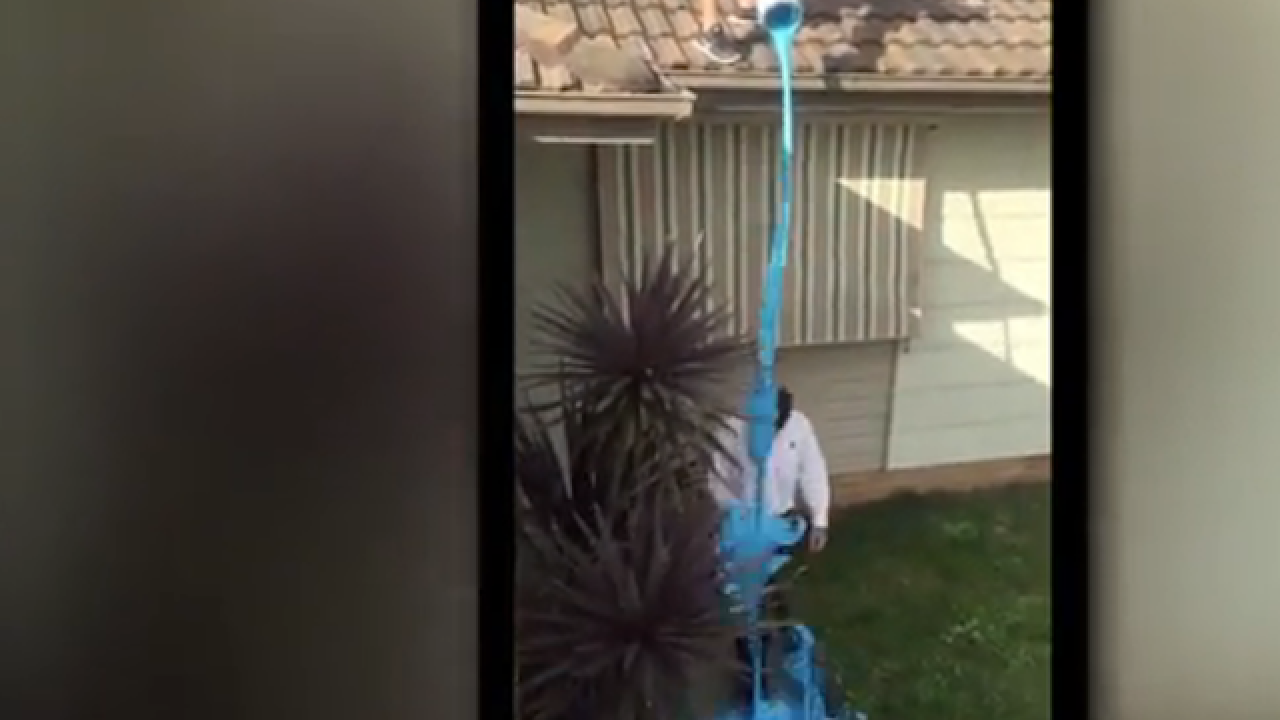 This prankster could be the world's worst roommate