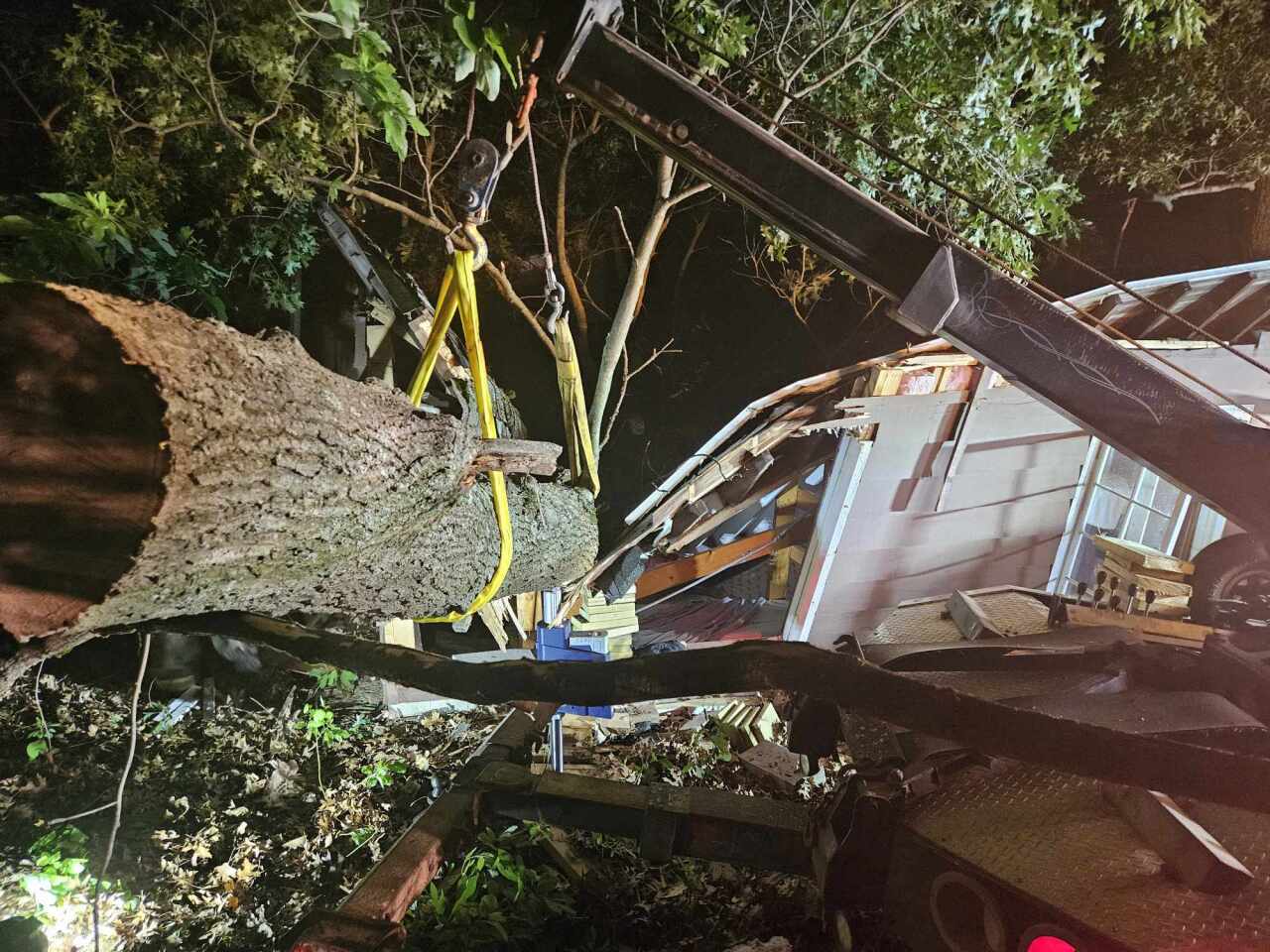 Eleven rescued after tree falls on cabin