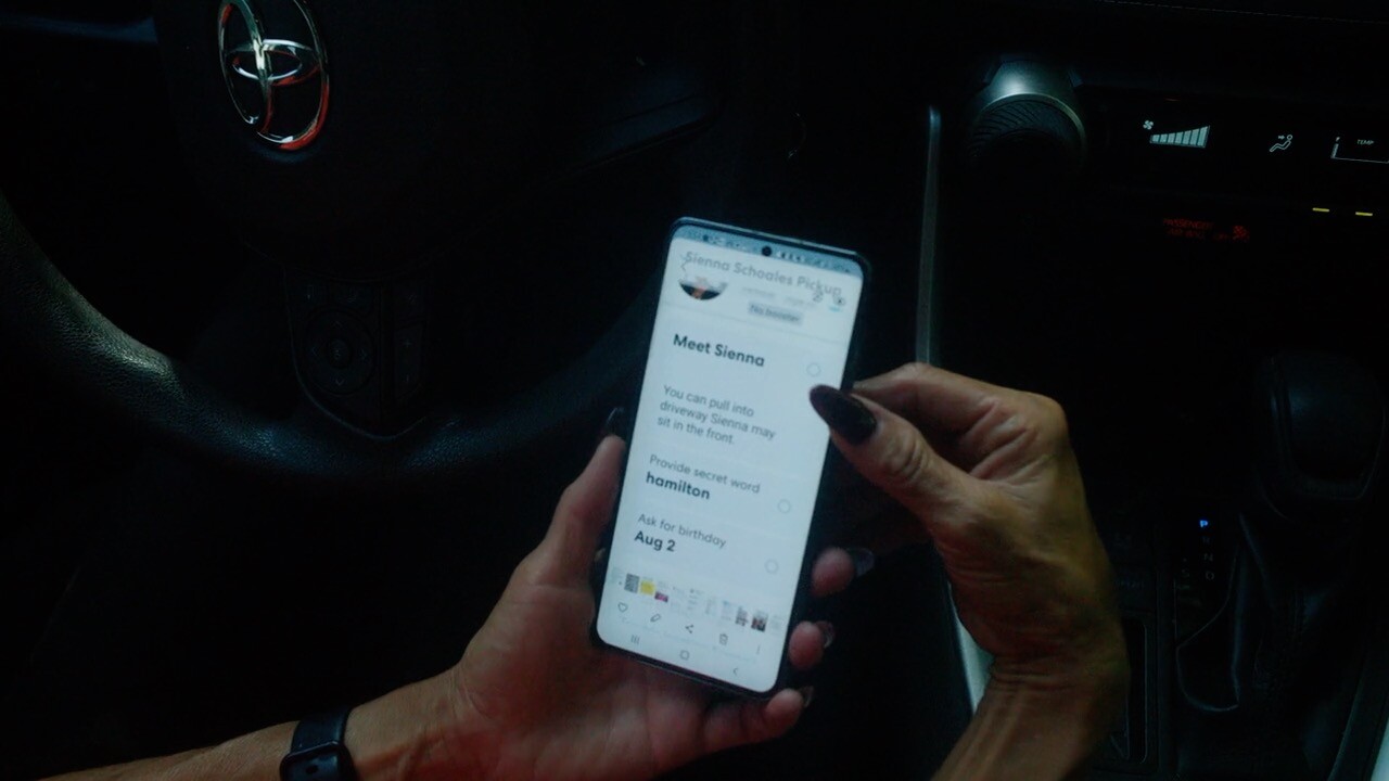HopSkipDrive App Interface