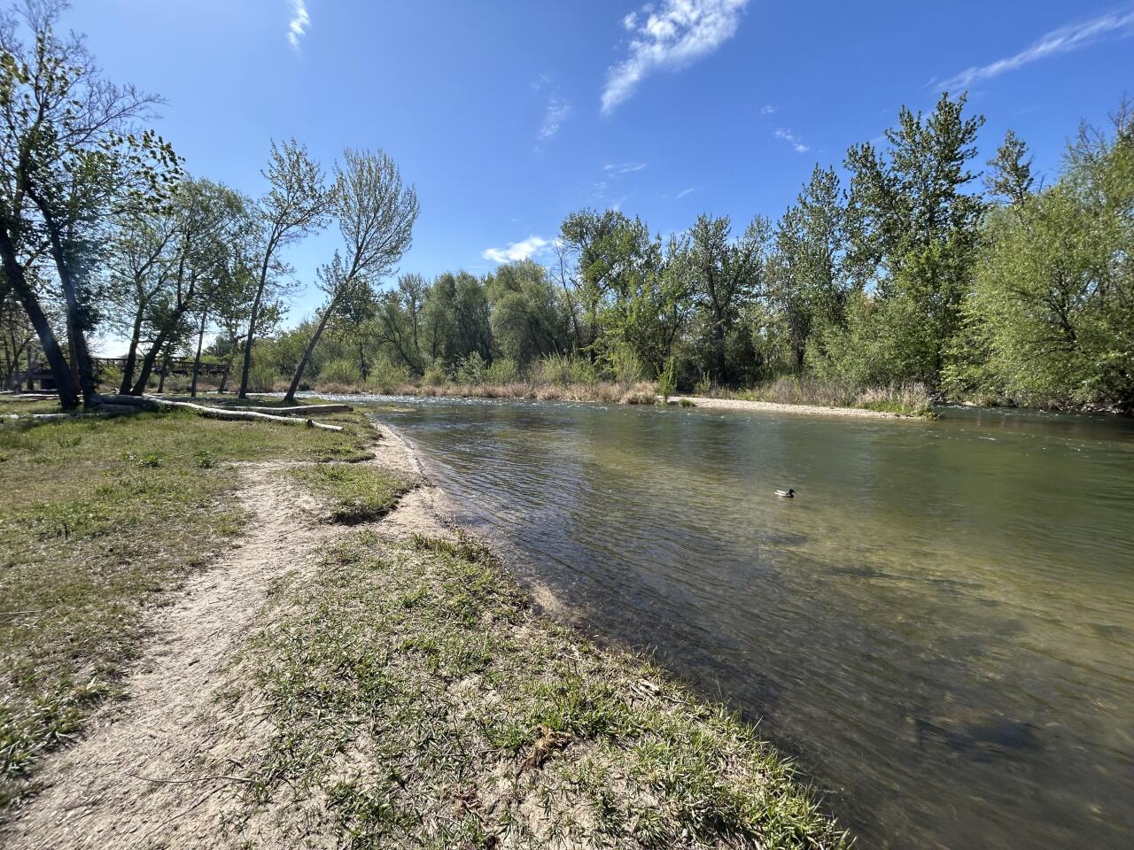 Boise River.jpg