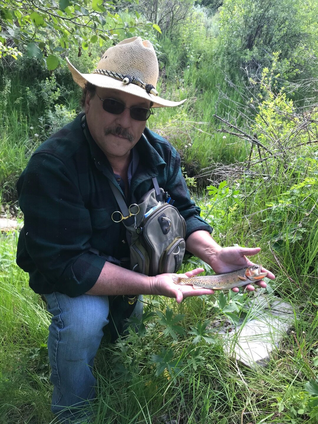 Yellowstone Cutthroat trout.jpg