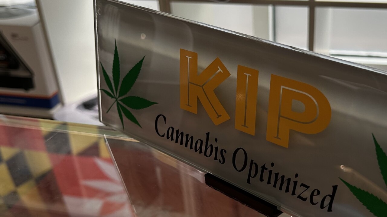 cannabis kip.jpg