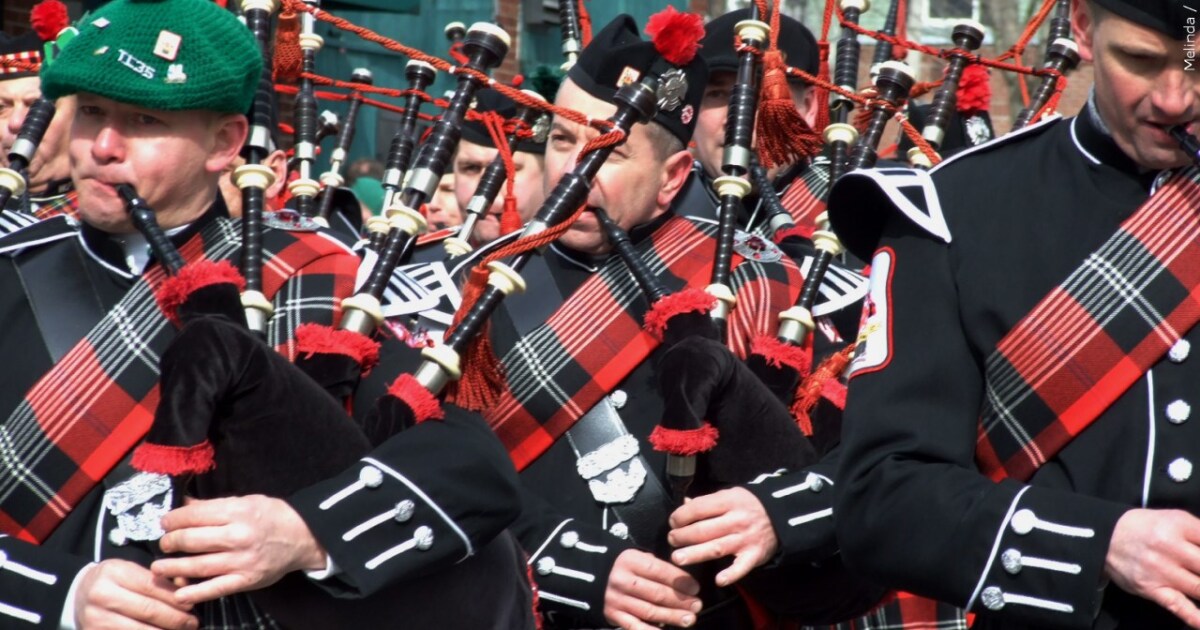 Highland Games, concurso de comer nugget de pollo y mucho más este fin de semana. Highland Games, concurso de comer nugget de pollo y mucho más este fin de semana.