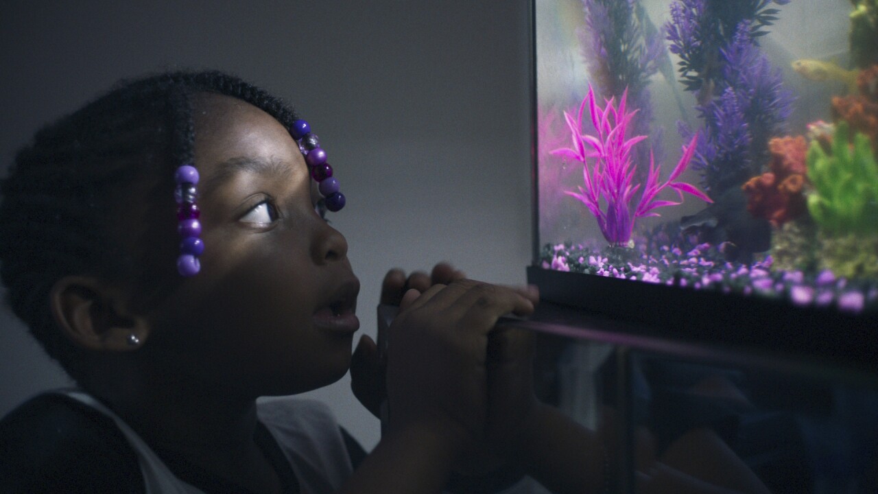 Film Review - Daughters