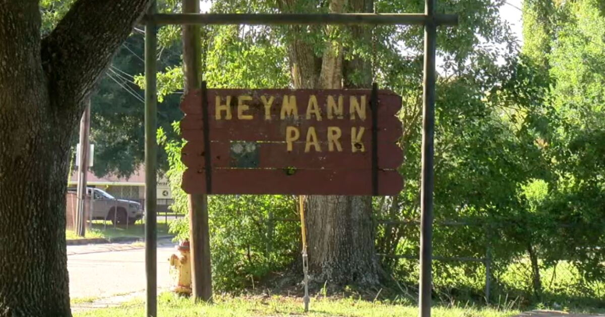 Last arrest made in last month's Heymann Park shooting - Vimarsana News