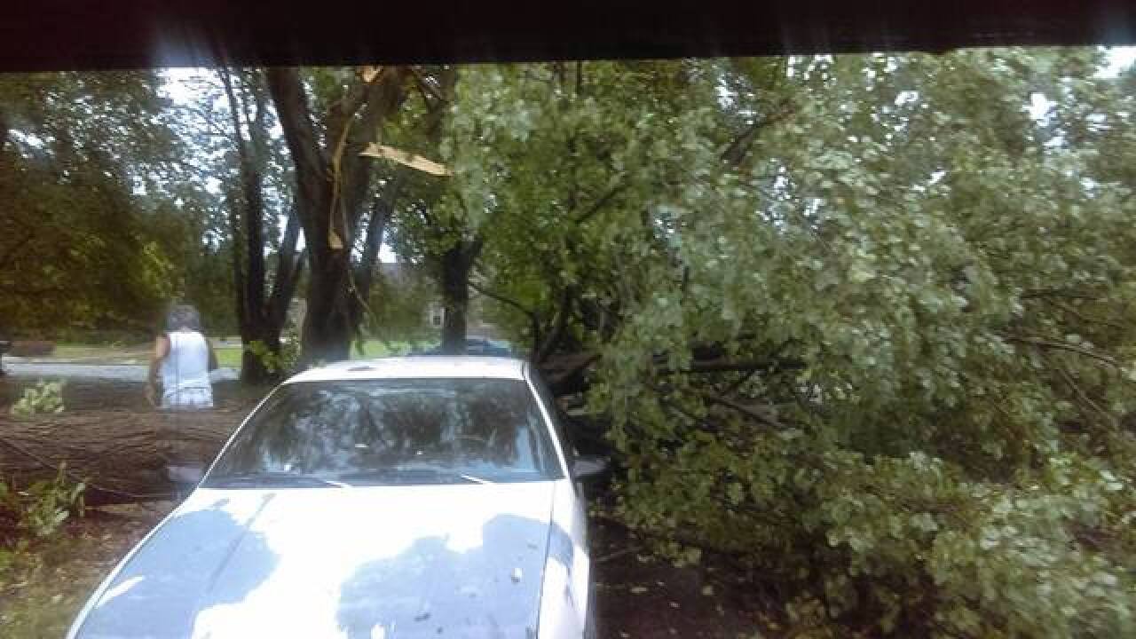 PHOTOS: Ominous clouds, downed trees, flooding