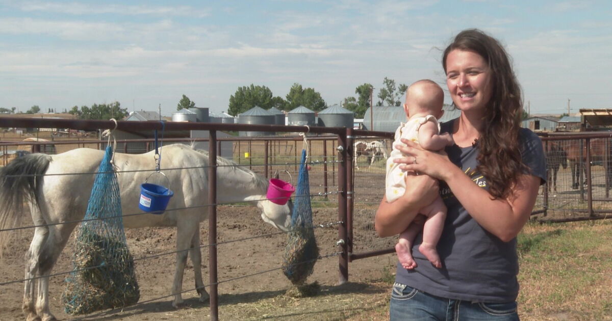 Montana horse facility continues to grow - Vimarsana News
