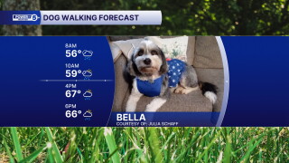 Bella