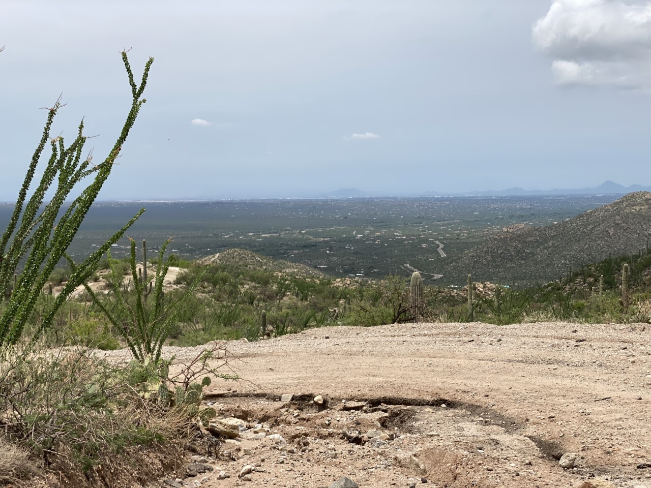 View into Tucson from Redington Pass