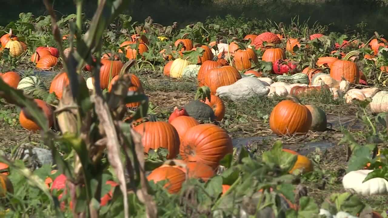 Poster image - 2023-10-13T142808.894.jpg