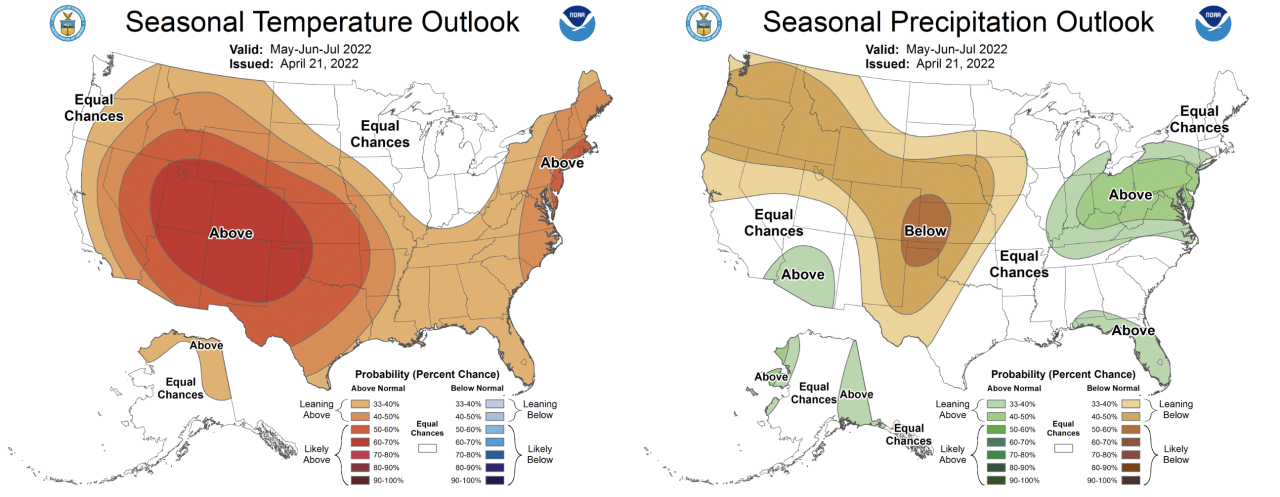 Screen Shot 2022-04-28 at 11.58.05 AM.png