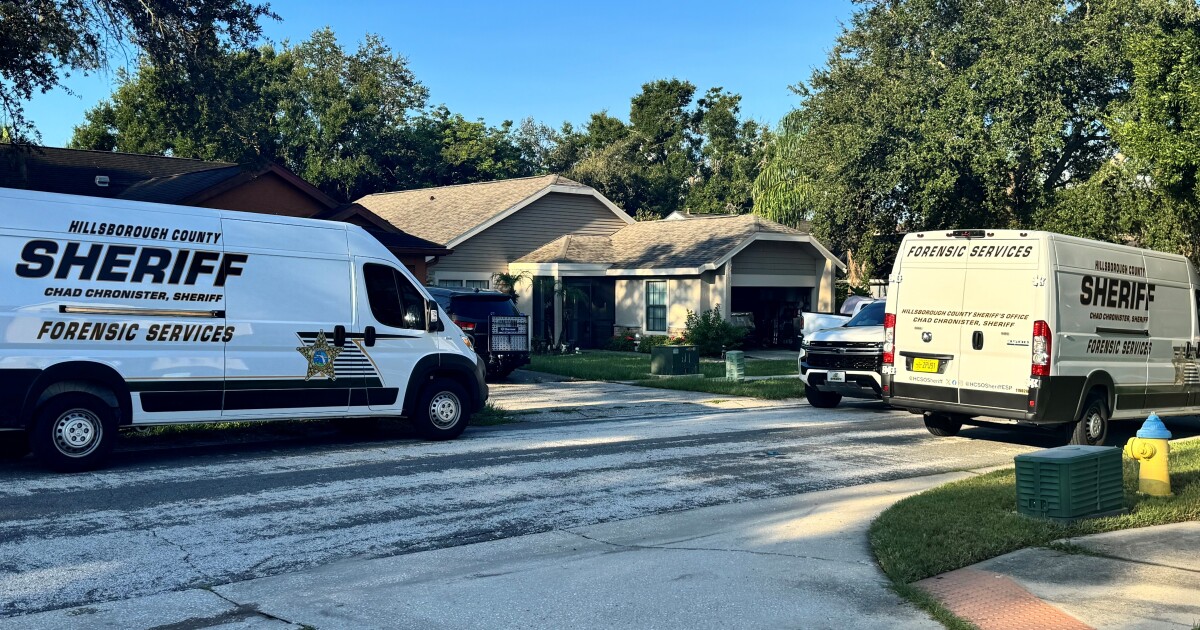 Woman was stabbed to death before her body was found near Gandy Bridge: HCSO