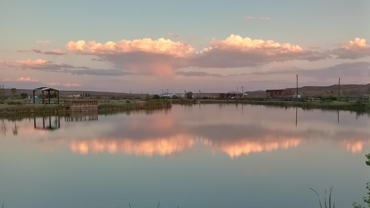 Mirror on the lake.jpg