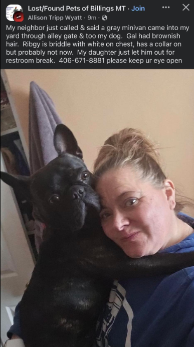 A screenshot from Alli's post about Rigby