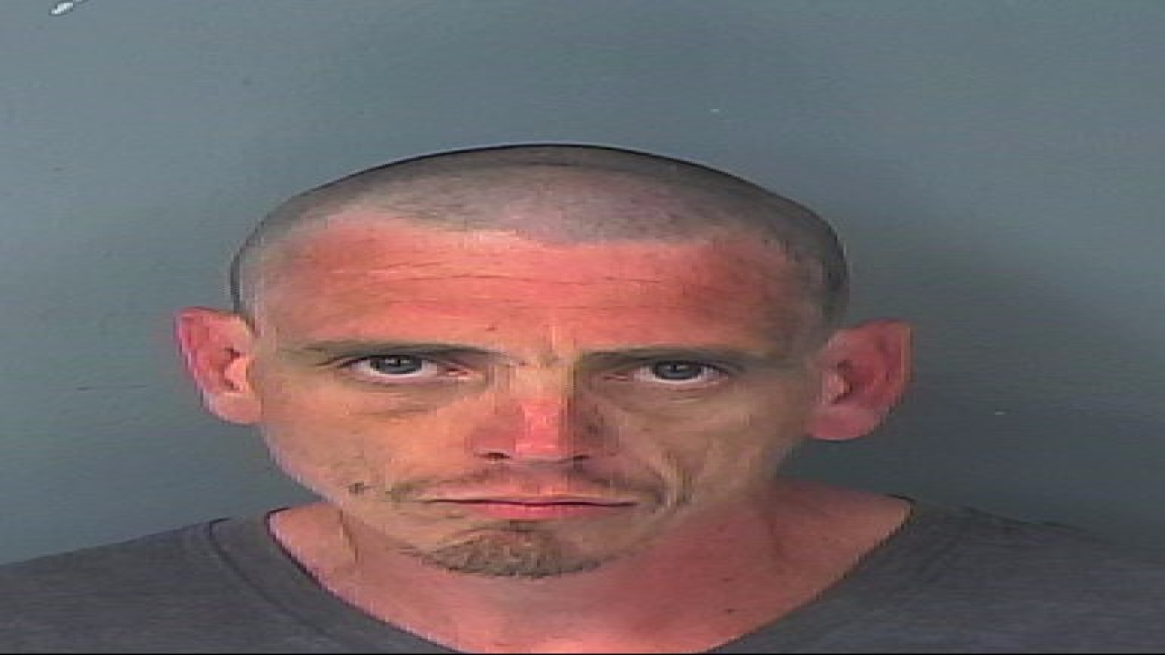 PHOTOS: Check out 100+ mug shots from Tampa Bay