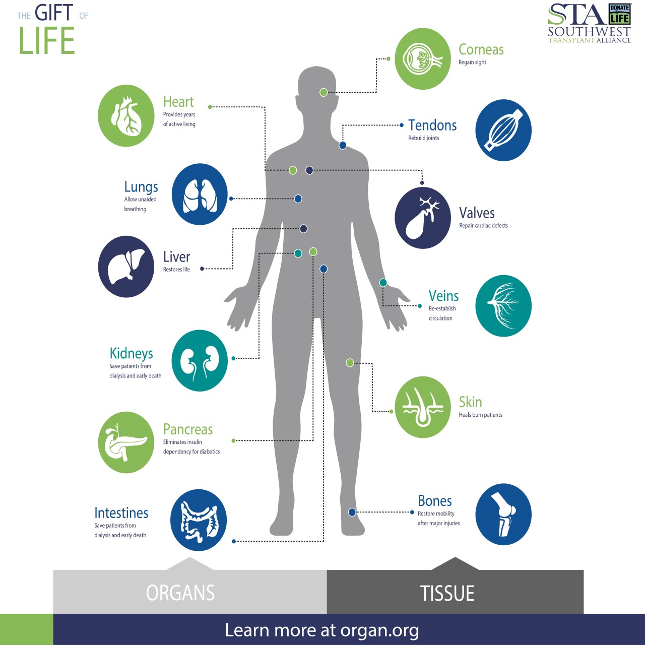 What you can donate.jpg