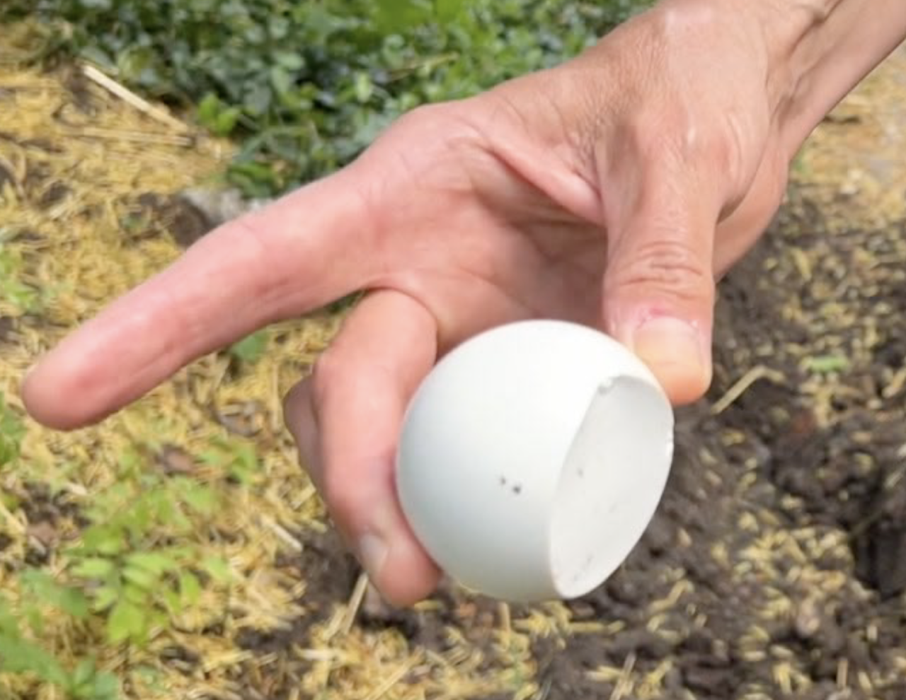 Screen Shot 2024-05-14 at 3.28.14 PM.png