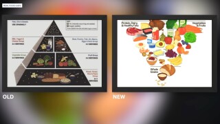 New guidelines turn food pyramid upside down as food prices rise