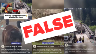 No, animals are not fleeing Yellowstone National Park ahead of an eruption