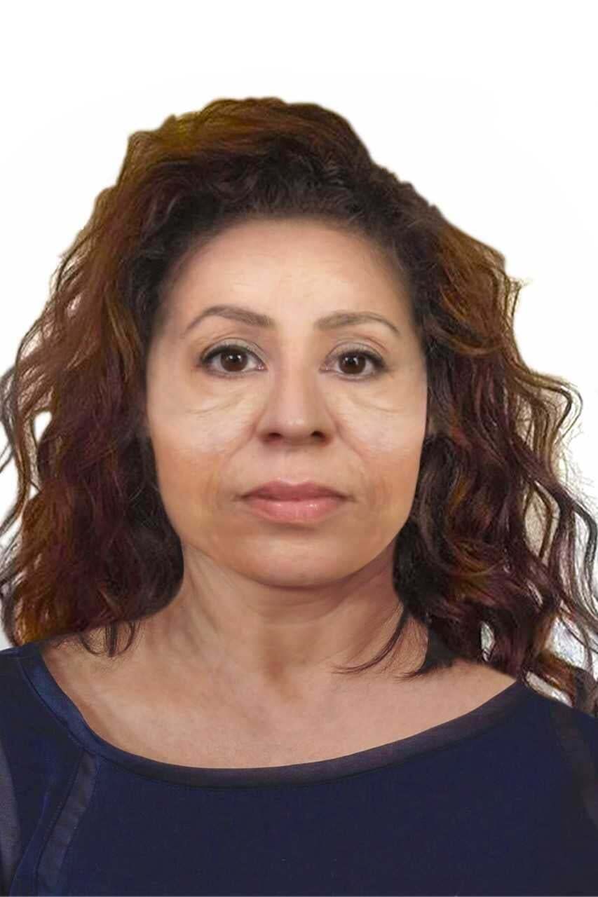 Hines reconstruction.jpg