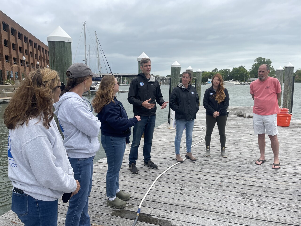 Oyster gardening improving Chesapeake Bay ecosystem; Here's how you can help