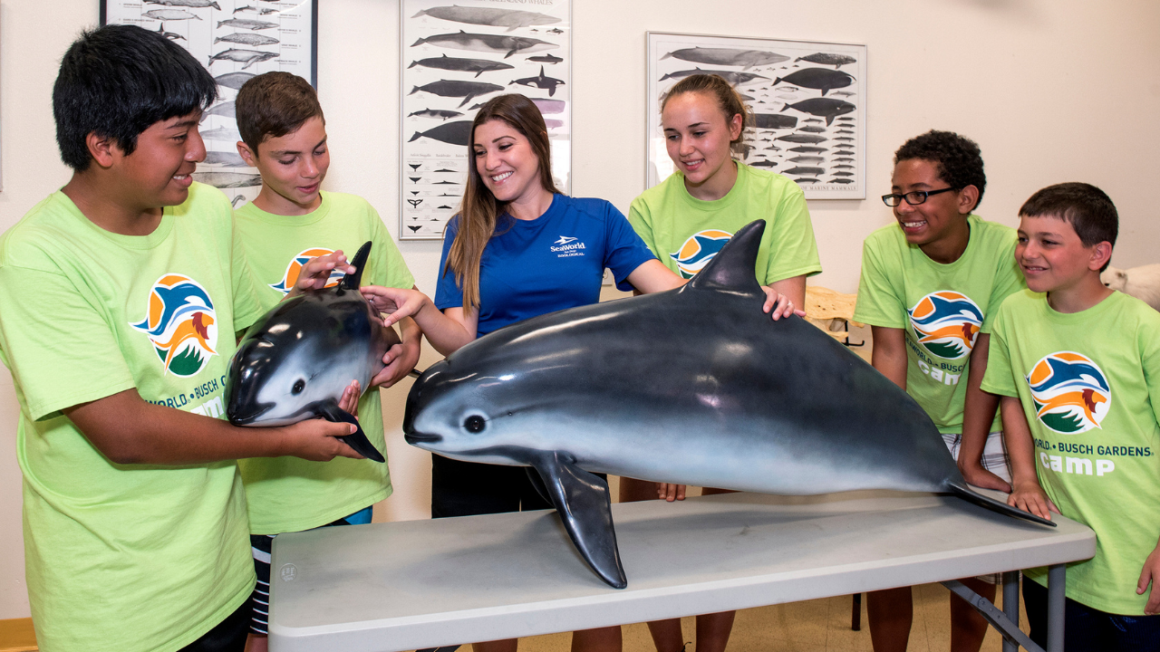 SeaWorld holiday camp3.png