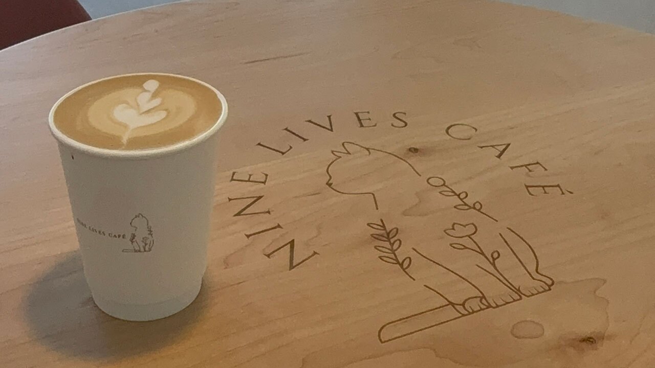Nine Lives Cafe coffee
