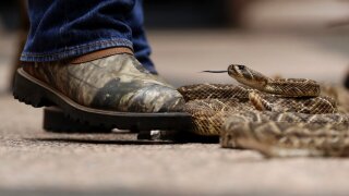 Texas Daily Life
