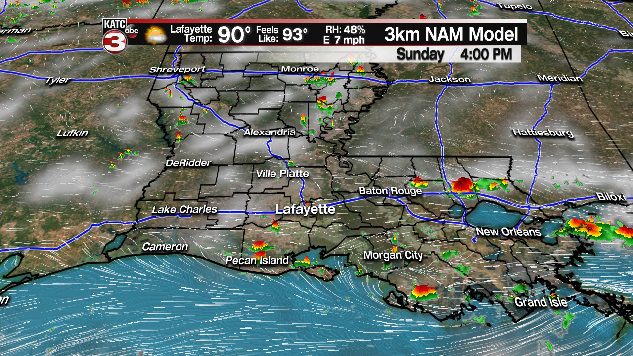 NAM Futurecast Rob.png