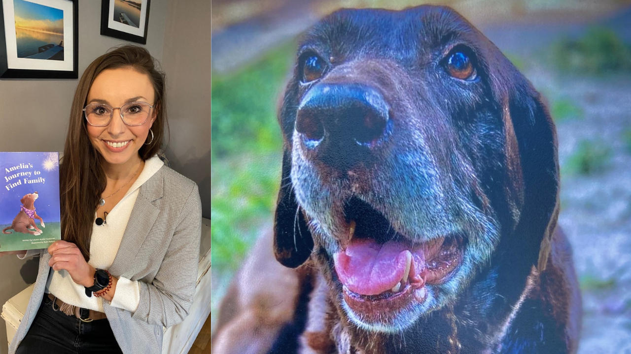 Amelia the Lovable Lab 12.png