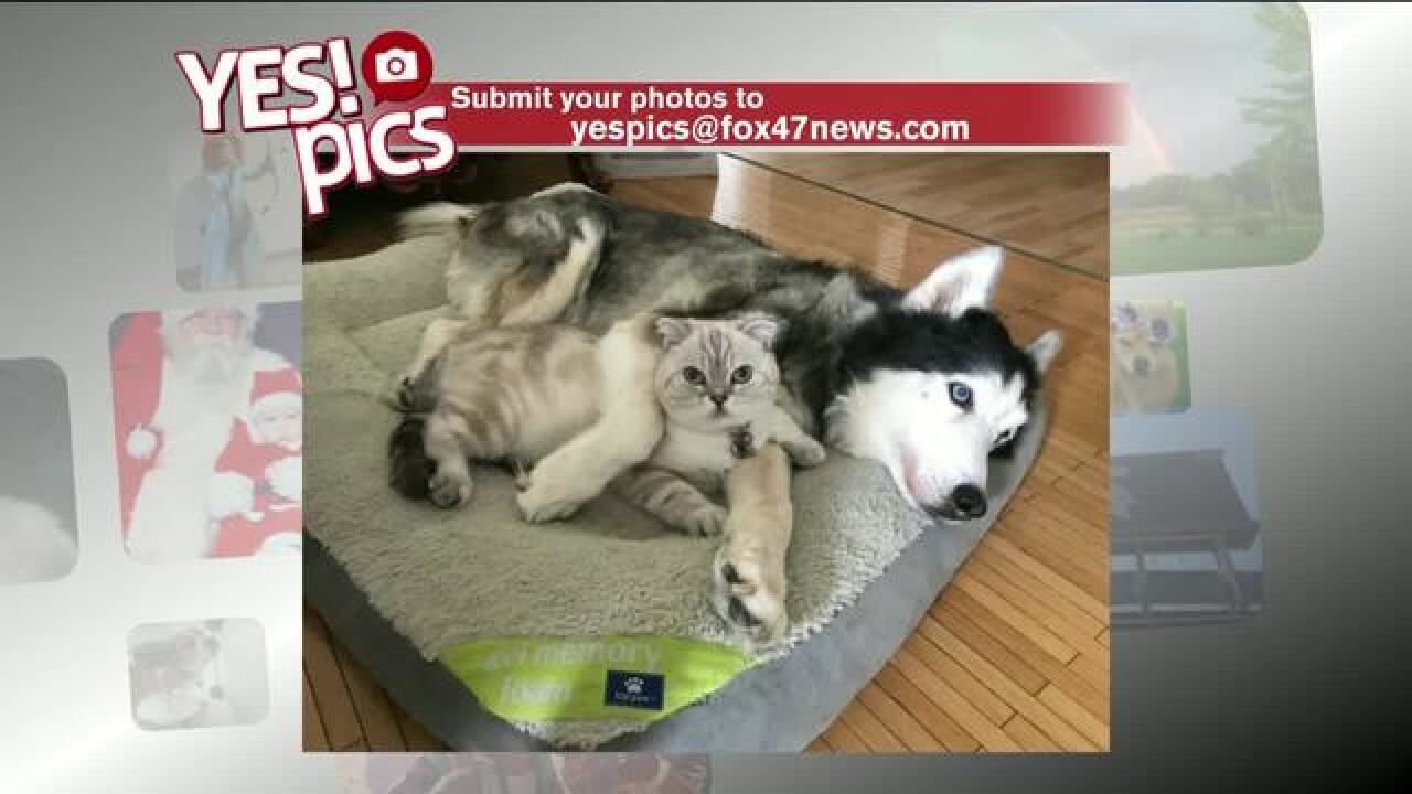 Yes! Pics: 9/28/18