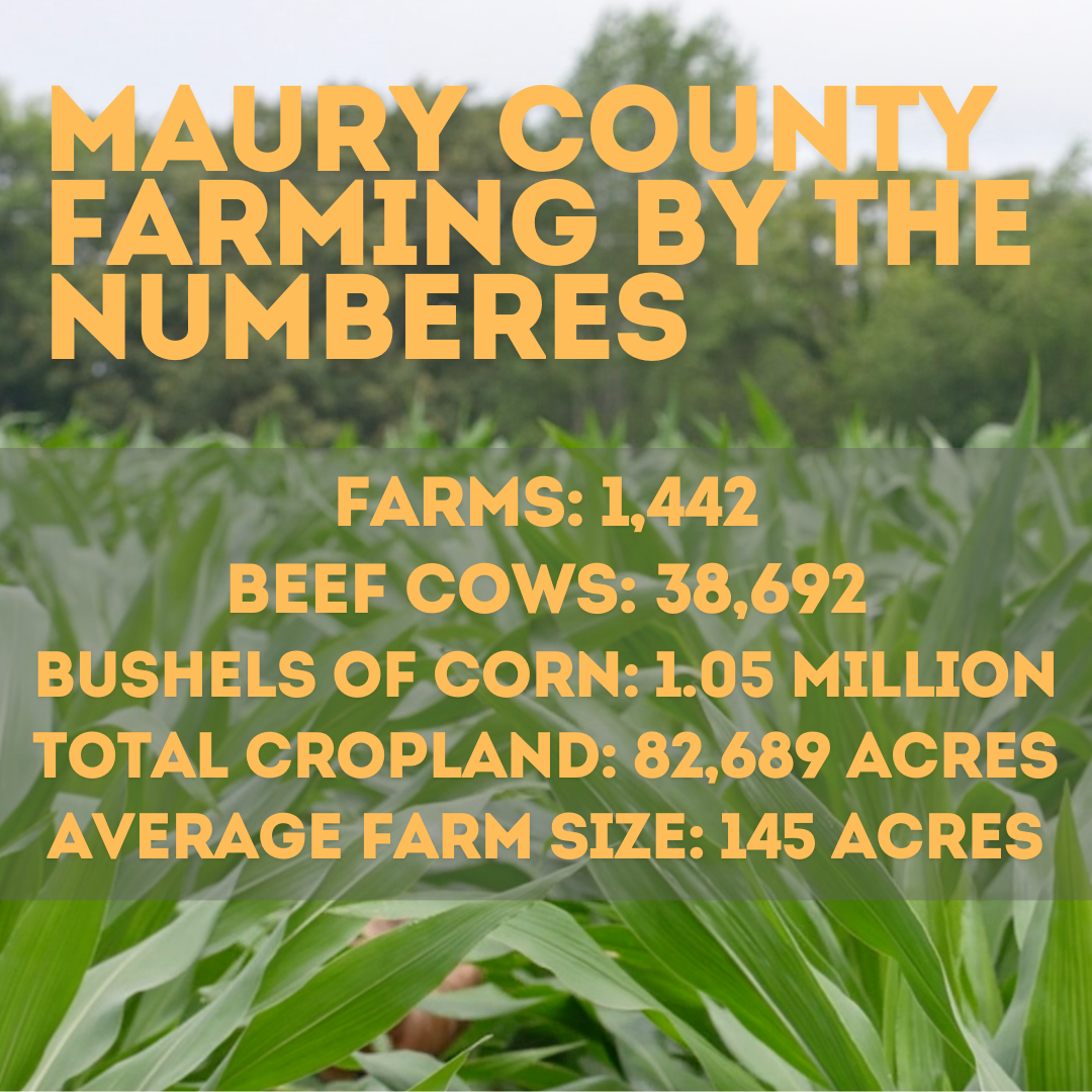 maury county farming by the numbers