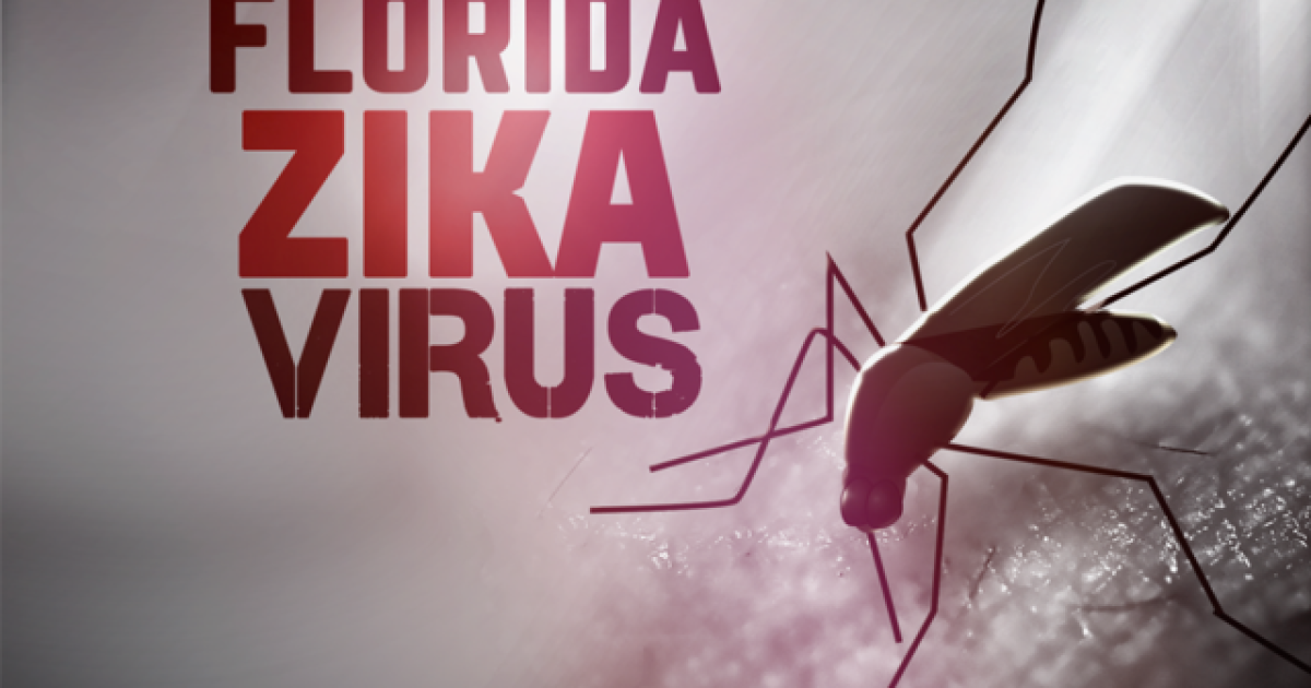 10 new Zika cases likely from FL mosquitoes