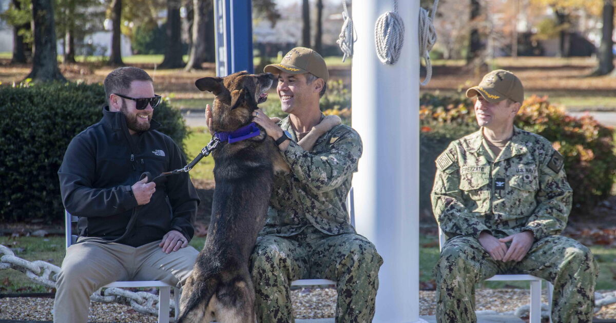 NAS Oceana celebrates retiring military working dog Misa - Vimarsana News