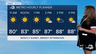 Denver's Hourly Planner for Wednesday