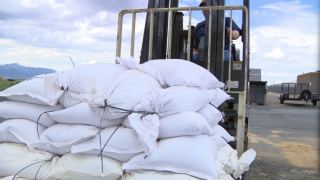 Sandbags